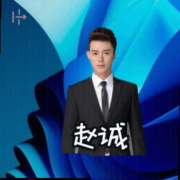 赵诚